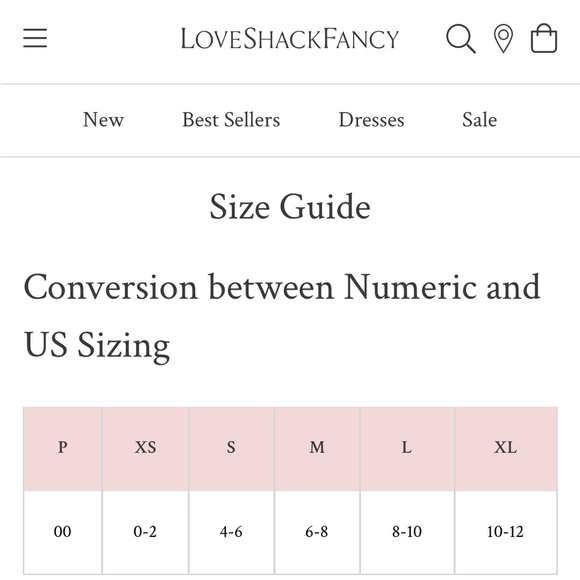 LoveShackFancy Aimee Satin Midi Skirt - Picture 10 of 11